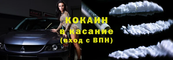 твердый Алексин