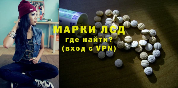 сатива Абинск